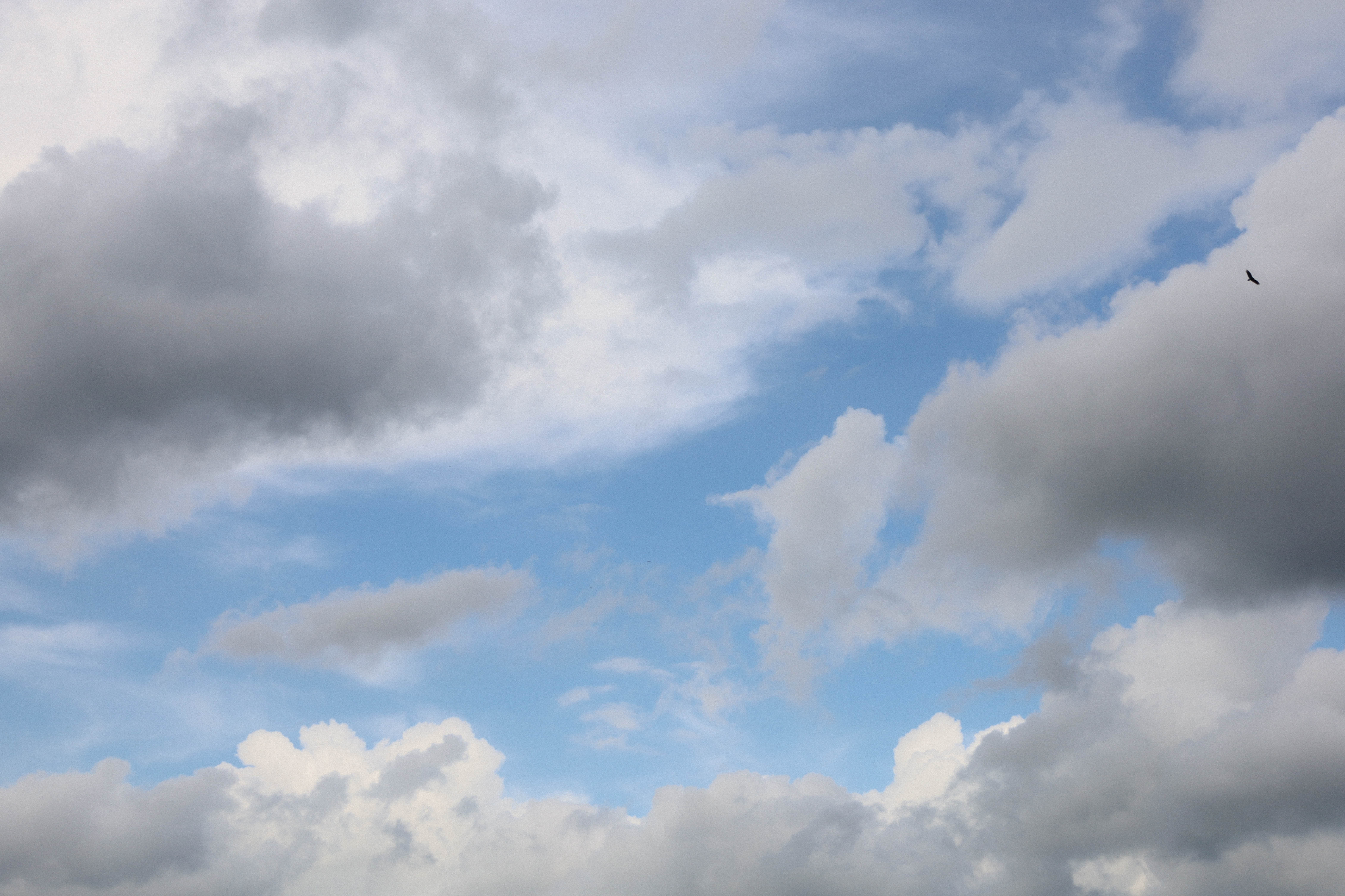 Background image 2