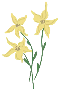Decorative flower